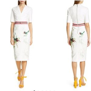 Ted Baker London Molilo Tutti Frutti Sheath Dress